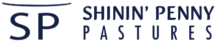 Shinin' Penny Pastures logo